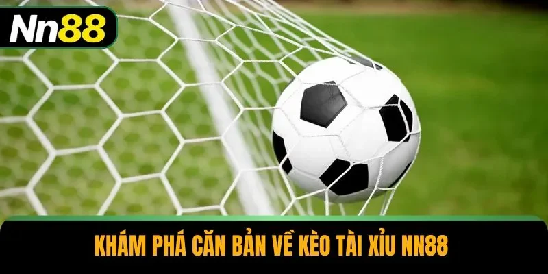 Khám phá căn bản về kèo tài xỉu NN88