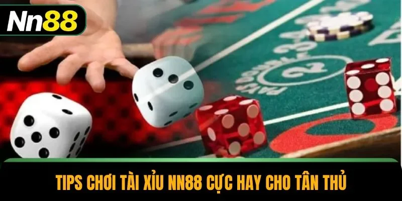 Tips chơi tài xỉu NN88 cực hay cho tân thủ
